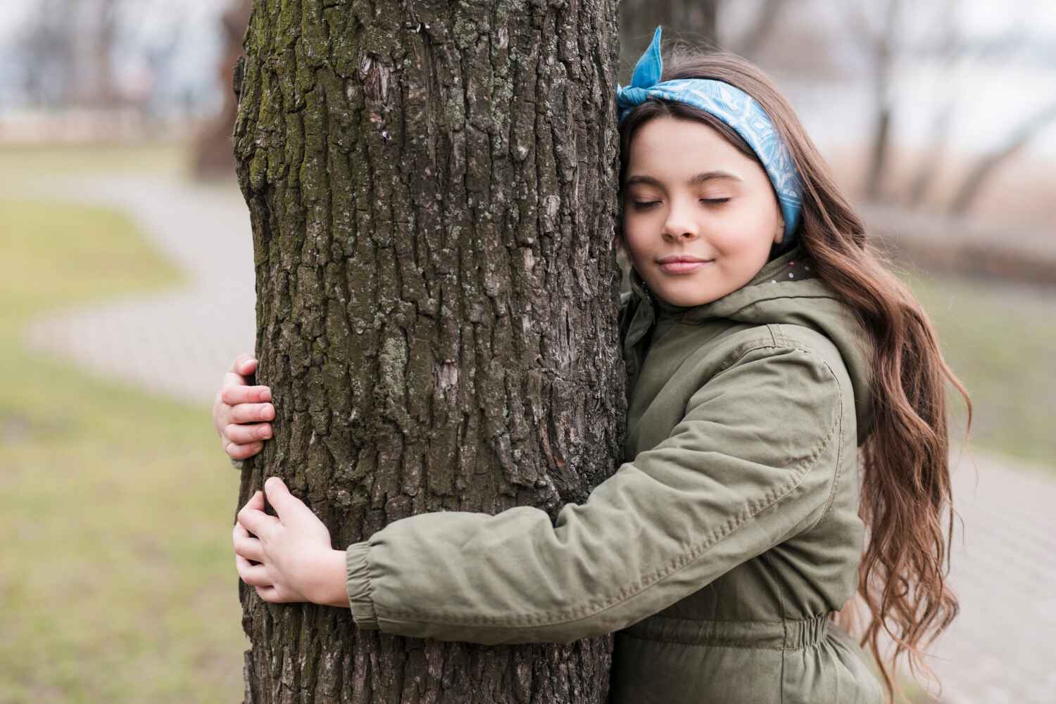 Best Tree Stump Removal  in Williamsburg, PA